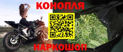 шишки Заводоуковск