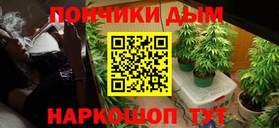 шишки Заводоуковск