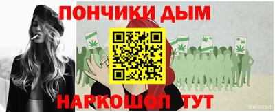 шишки Заводоуковск