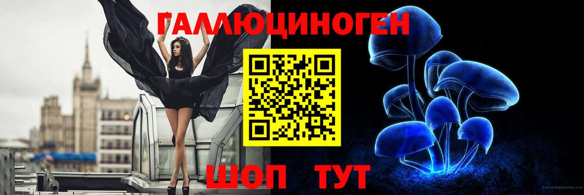 Псилоцибиновые грибы мухоморы  Вход с VPN  Псилоцибиновые грибы Psilocybine cubensis  даркнет сайт  Малгобек 